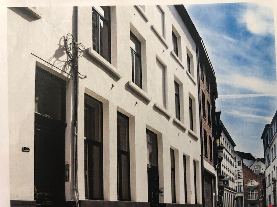 Hippe Studio In Historisch Gebouw In Oude Centrum Антверпен Екстер'єр фото